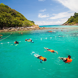 Top Havelock Island Tour Packages From Cochin, Kerala Discover top-rated Havelock Island tour packages starting from Cochin, Kerala for a great trip