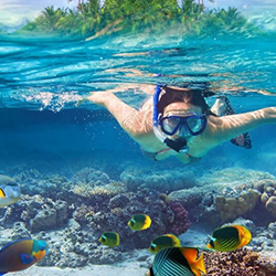 Group Tour Packages to Elephant Beach Starting From Cochin Book exciting group tour packages from Cochin to Elephant Beach for a fun-filled island adventure