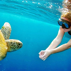 Book Andaman Tour Package to Port Blair From Cochin Book your Andaman tour package from Cochin to Port Blair for a memorable island travel experience.