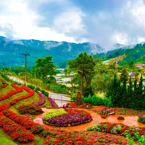 Kalimpong Drive Kalimpong Drive
